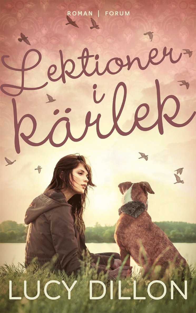 Lucy Dillon - Lektioner i kärlek, E-bok