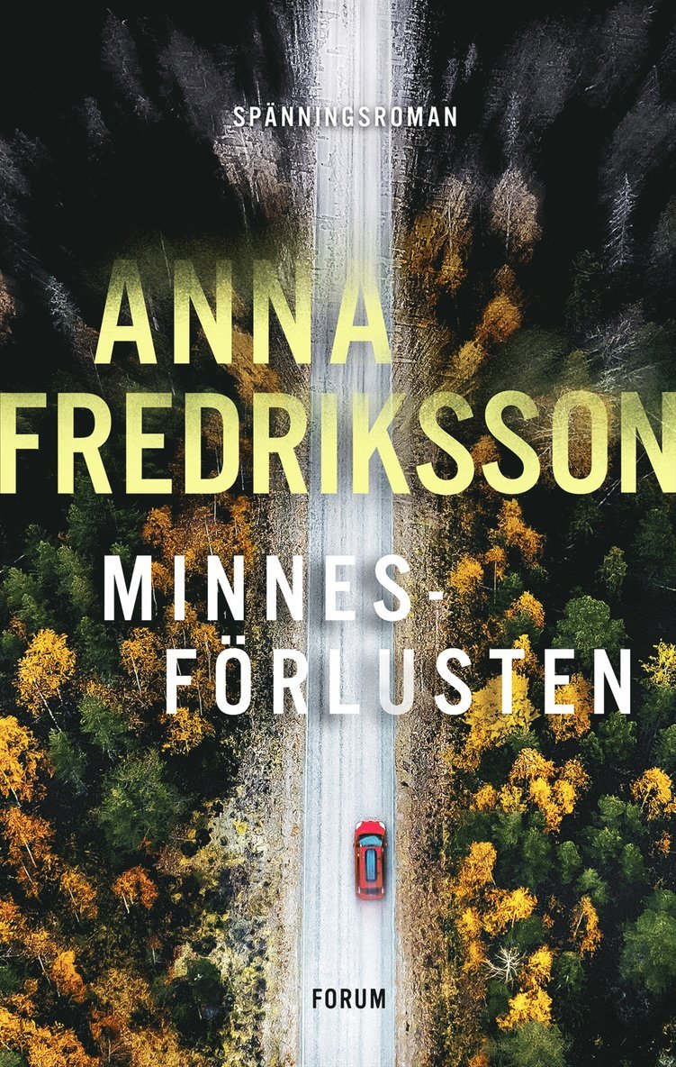 Anna Fredriksson - Minnesförlusten, E-bok