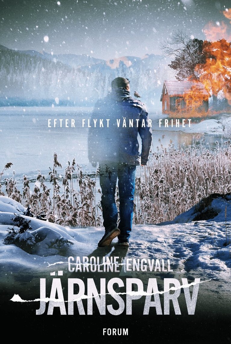 Caroline Engvall - Järnsparv, E-bok