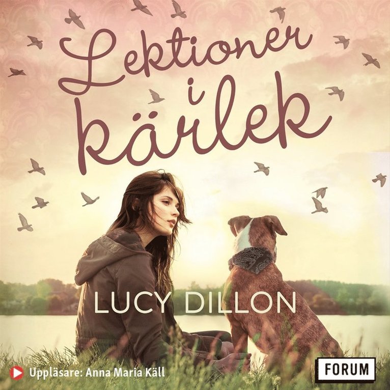 Lucy Dillon - Lektioner i kärlek, Ljudbok