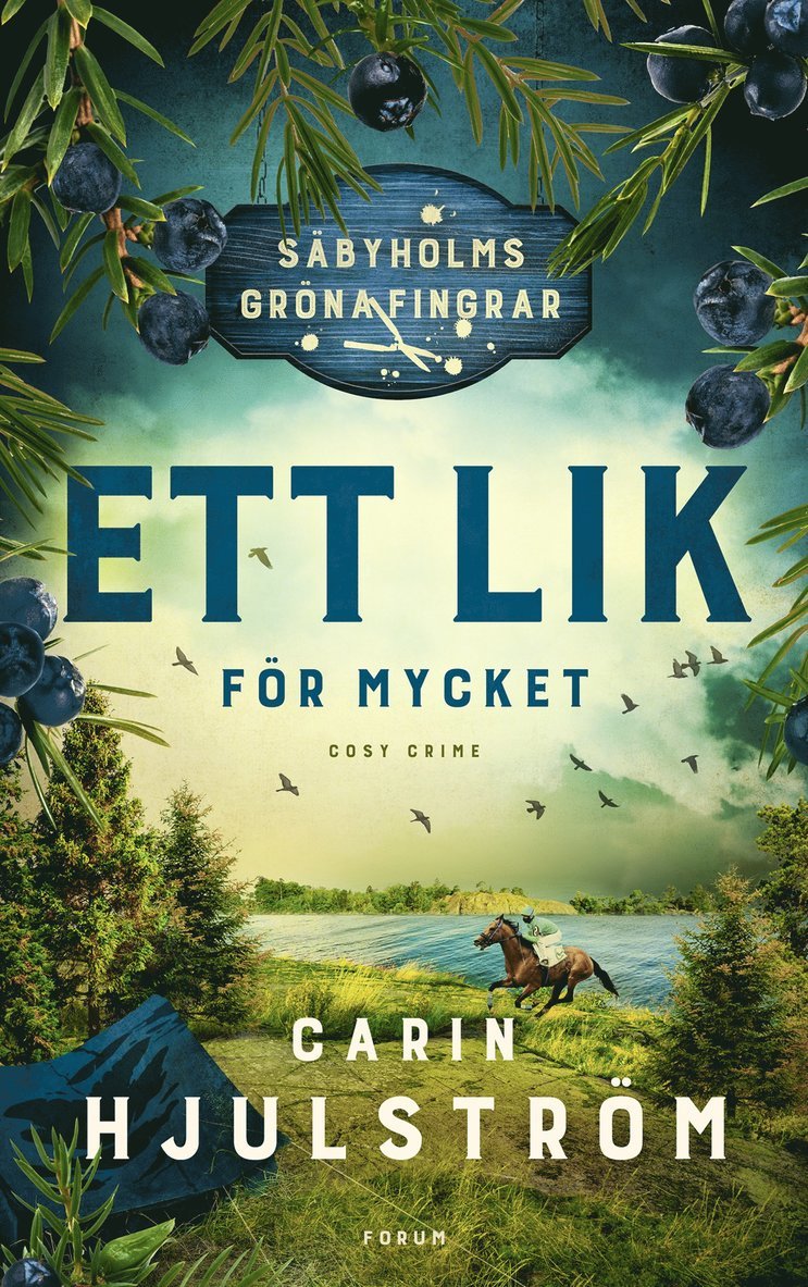Carin Hjulström - Ett lik för mycket, E-bok