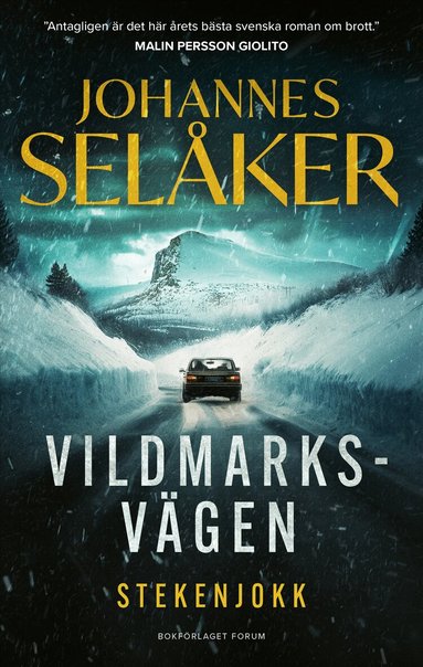 Johannes Selåker - Stekenjokk, E-bok. Tillgänglighet: Lägg till