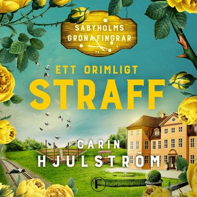 Carin Hjulström - Ett orimligt straff, Ljudbok