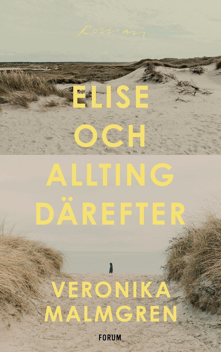 Veronika Malmgren - Elise och allting därefter, E-bok