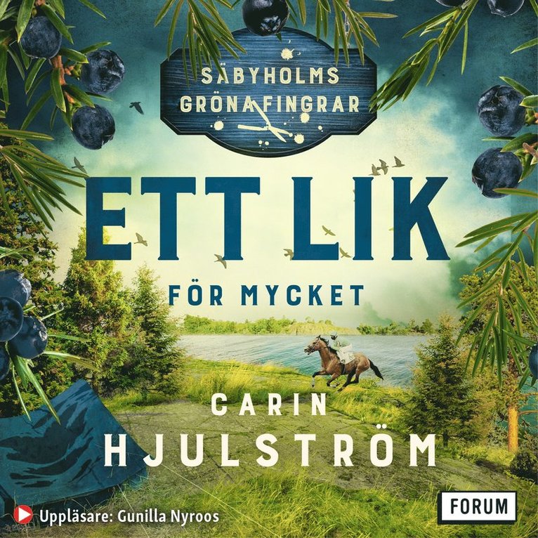 Carin Hjulström - Ett lik för mycket, Ljudbok