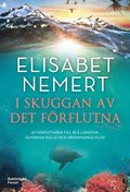 I skuggan av det frflutna