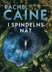 I spindelns nät