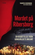 Mordet på Ribersborg : en berättelse från gängvåldets Malmö