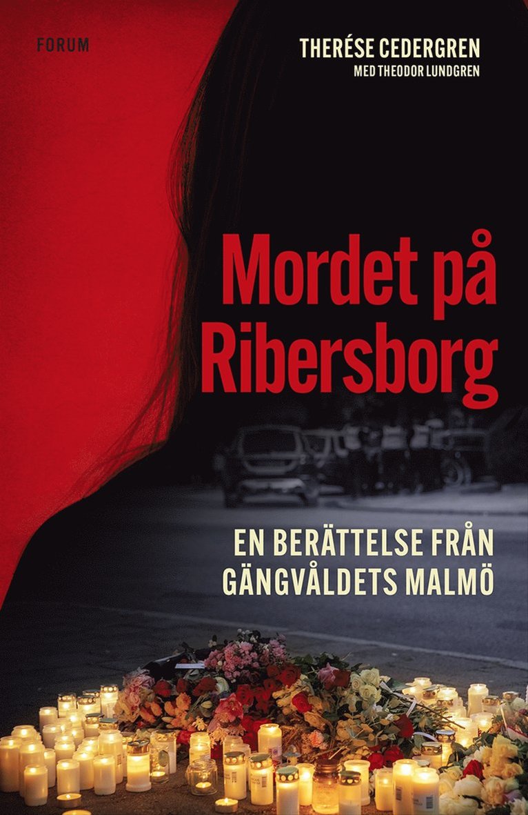 Theodor Lundgren, Therése Cedergren - Mordet på Ribersborg : en berättelse från gängvåldets Malmö, E-bok