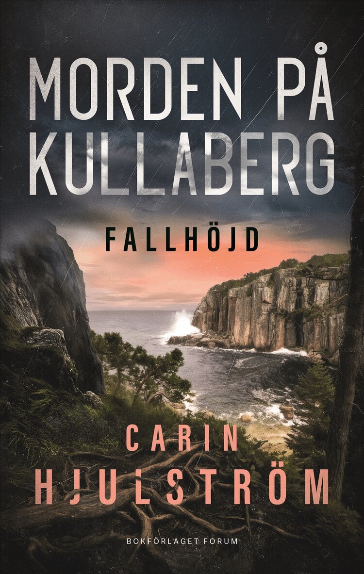 Carin Hjulström - Fallhöjd, E-bok