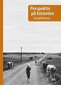 Perspektiv p historien Socialhistoria