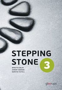 e-Bok Stepping Stone 3 Elevbok 3e uppl