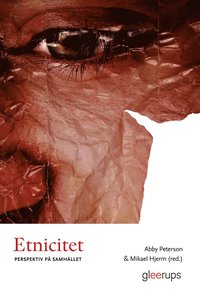 Etnicitet : Perspektiv på samhället