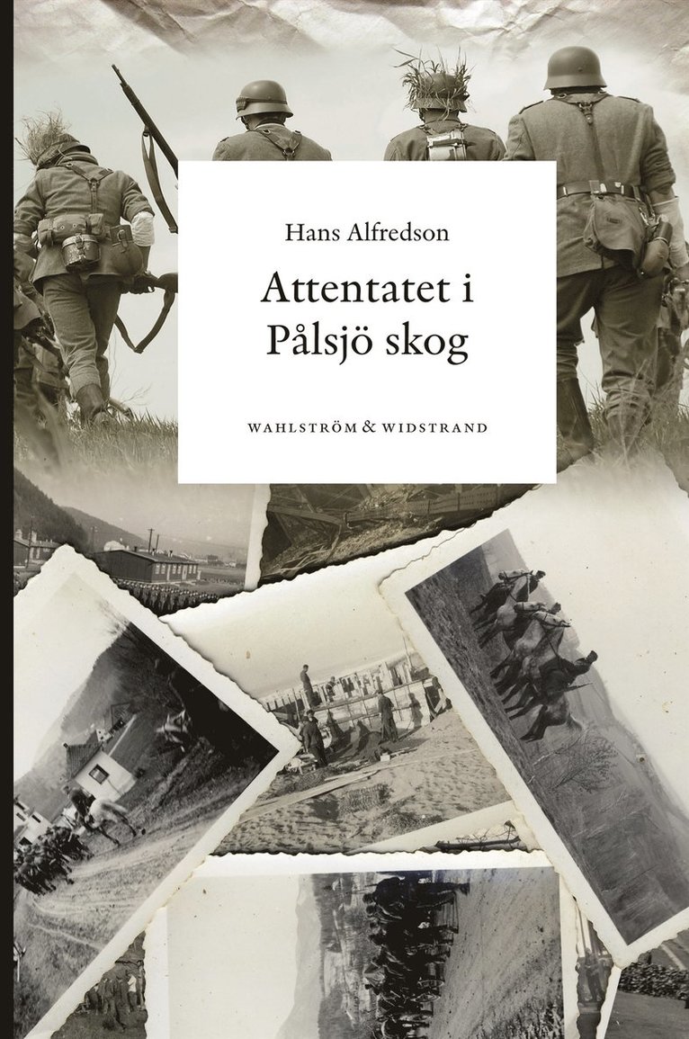 Hans Alfredson - Attentatet i Pålsjö skog, E-bok