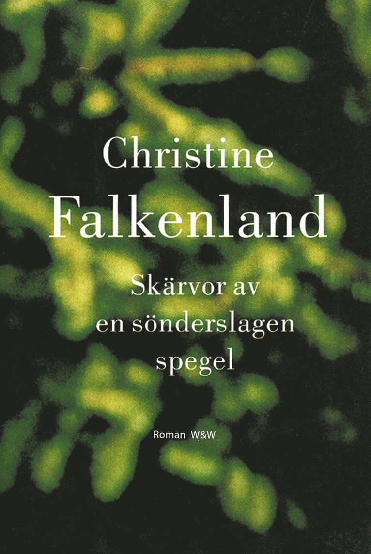 Christine Falkenland - Skärvor av en sönderslagen spegel, E-bok