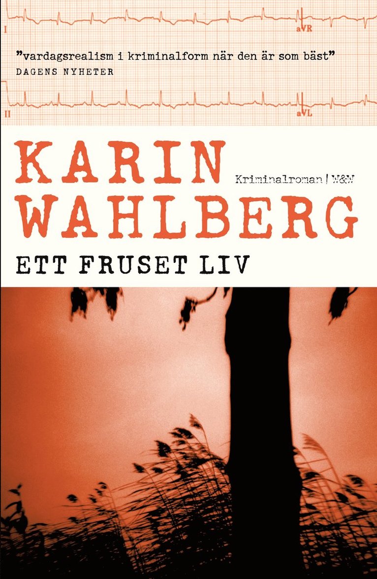 Karin Wahlberg - Ett fruset liv, E-bok