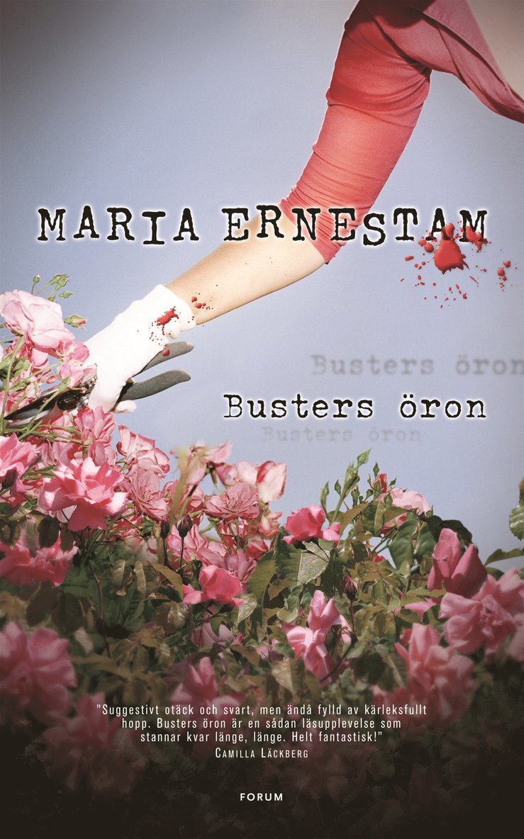 Maria Ernestam - Busters öron, E-bok
