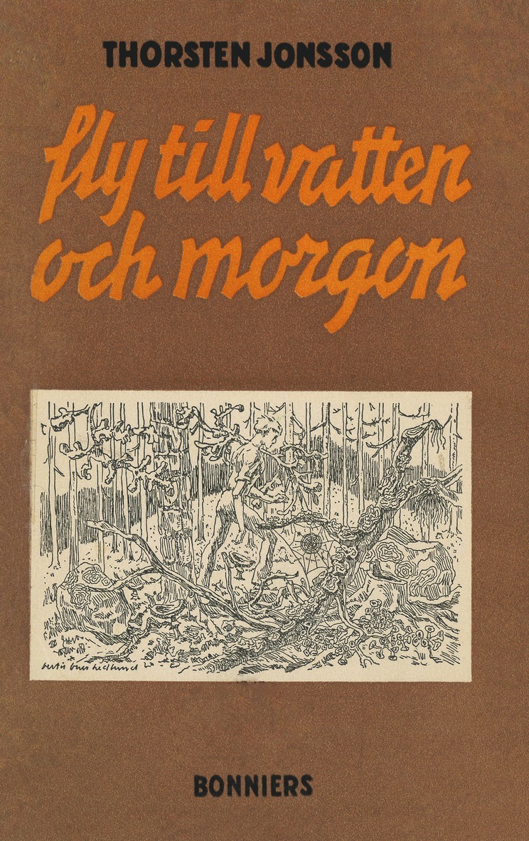 Thorsten Jonsson - Fly till vatten och morgon, E-bok