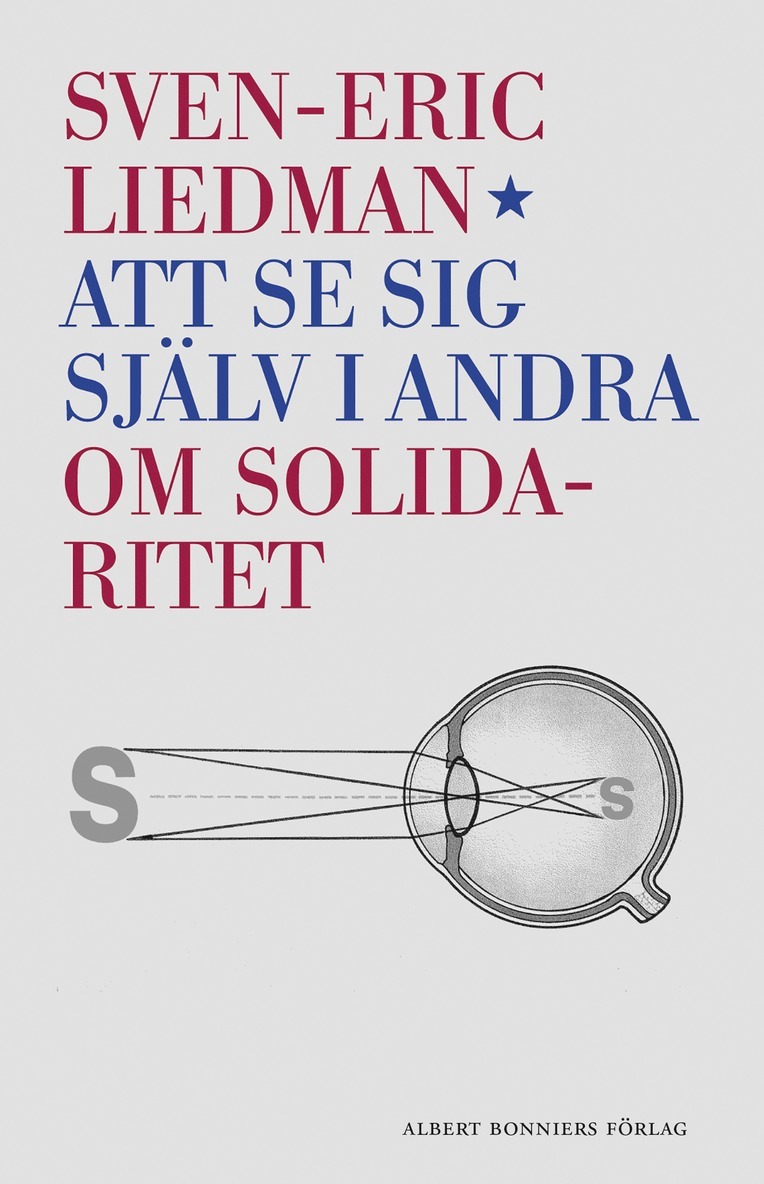 Sven-Eric Liedman - Att se sig själv i andra : om solidaritet, E-bok