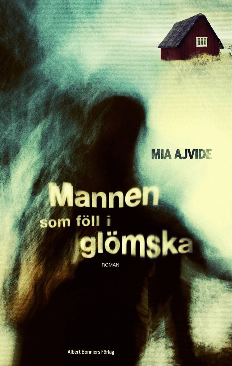 Mia Ajvide - Mannen som föll i glömska, E-bok
