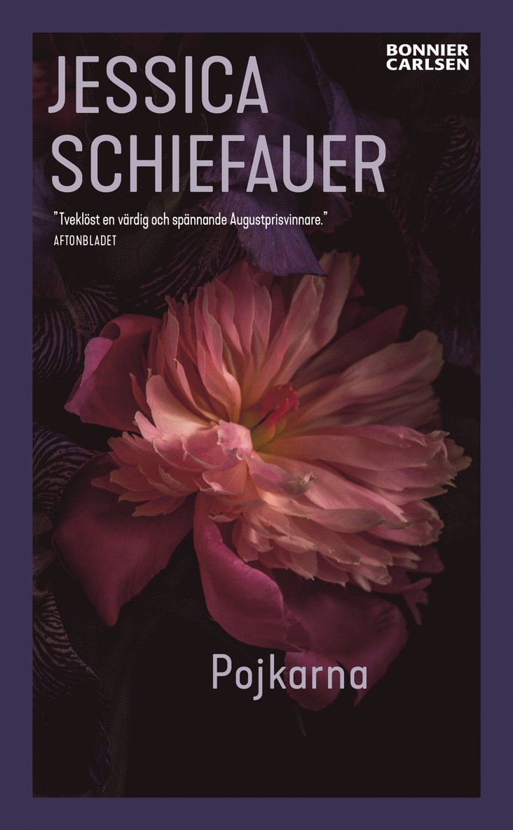 Jessica Schiefauer - Pojkarna, E-bok