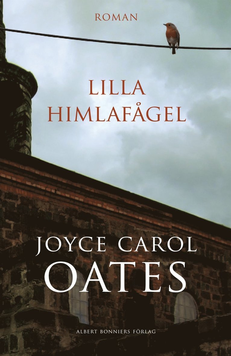Joyce Carol Oates - Lilla himlafågel, E-bok