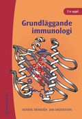 Grundläggande immunologi