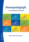 Neuropedagogik