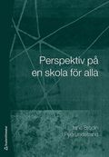 Perspektiv på en skola för alla