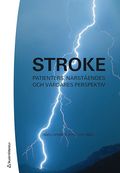 Stroke : patienters, närståendes och vårdares perspektiv
