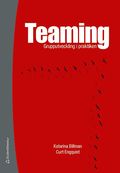 Teaming : grupputveckling i praktiken