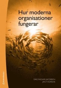 e-Bok Hur moderna organisationer fungerar