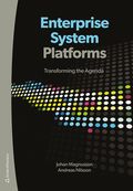 Enterprise system platforms : transforming the agenda