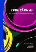 Tebe frg AB : ett praktikfall i externredovisning