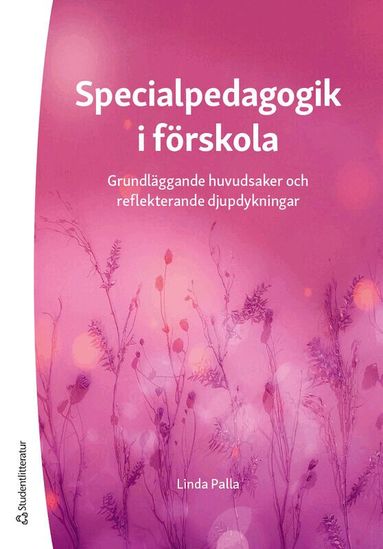 Linda Palla - Specialpedagogik i förskola : grundläggande huvudsaker och reflekterande djupdykningar, Häftad