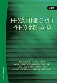 Ersättning vid personskada 2025