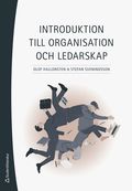 Introduktion till organisation och ledarskap