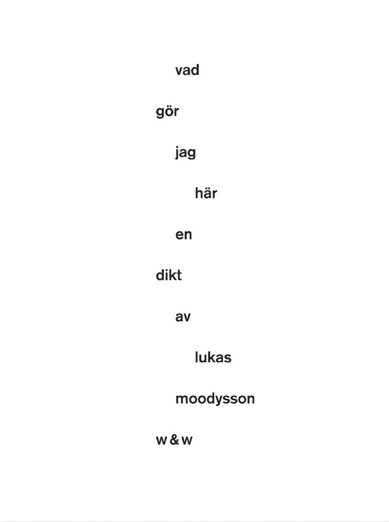 Lukas Moodysson - Vad gör jag här, Häftad