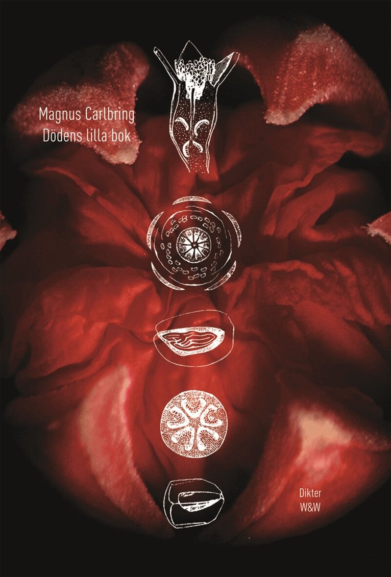 Magnus Carlbring - Dödens lilla bok : dikter, Inbunden
