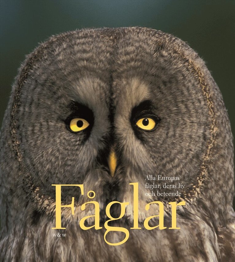Dominic Couzens - Fåglar : alla Europas fåglar, deras liv och beteende, Inbunden