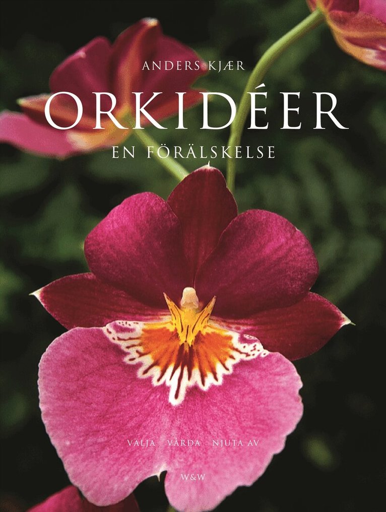 Anders Kjaer - Orkidéer : en förälskelse, Inbunden