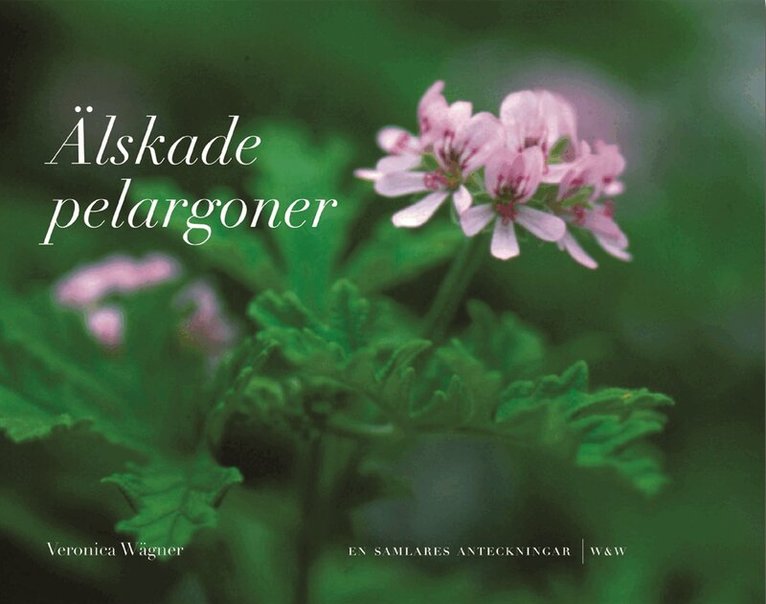 Veronica Wägner - Älskade pelargoner : En samlares anteckningar, Pocket