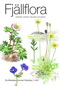 Fjällflora