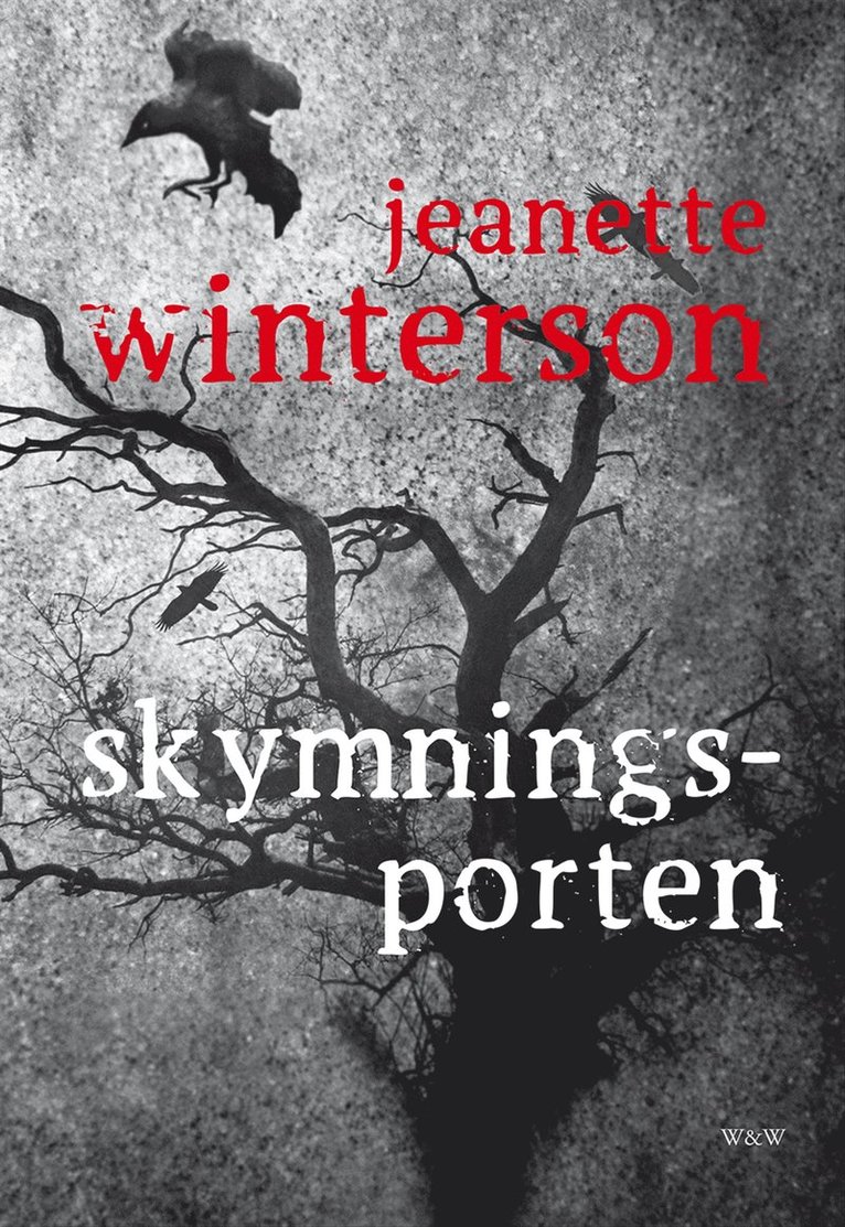 Jeanette Winterson - Skymningsporten, E-bok