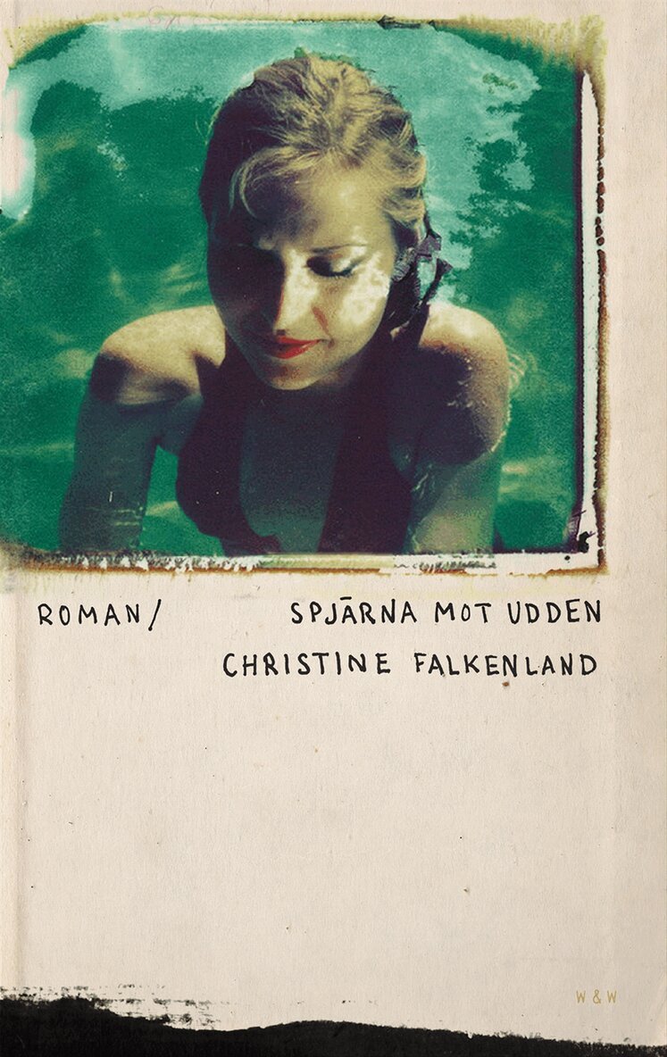 Christine Falkenland - Spjärna mot udden, E-bok