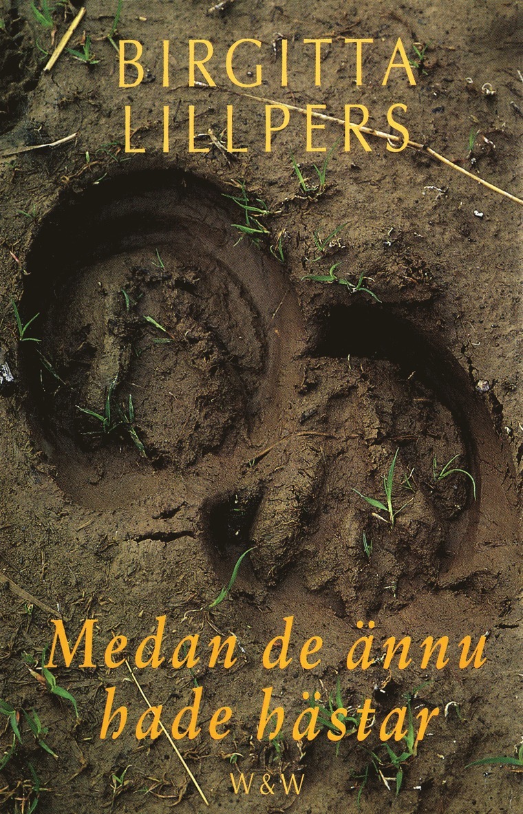 Birgitta Lillpers - Medan de ännu hade hästar, E-bok