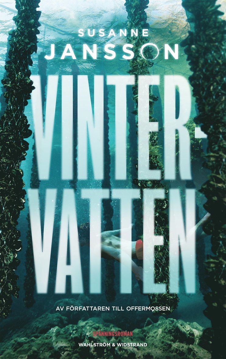 Susanne Jansson - Vintervatten, E-bok