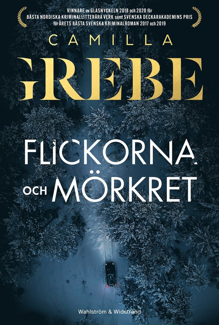 Camilla Grebe - Flickorna och Mörkret, E-bok