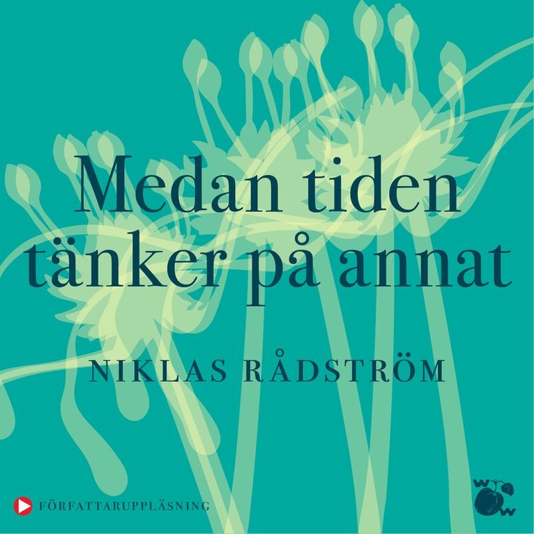 Niklas Rådström - Medan tiden tänker på annat, Ljudbok