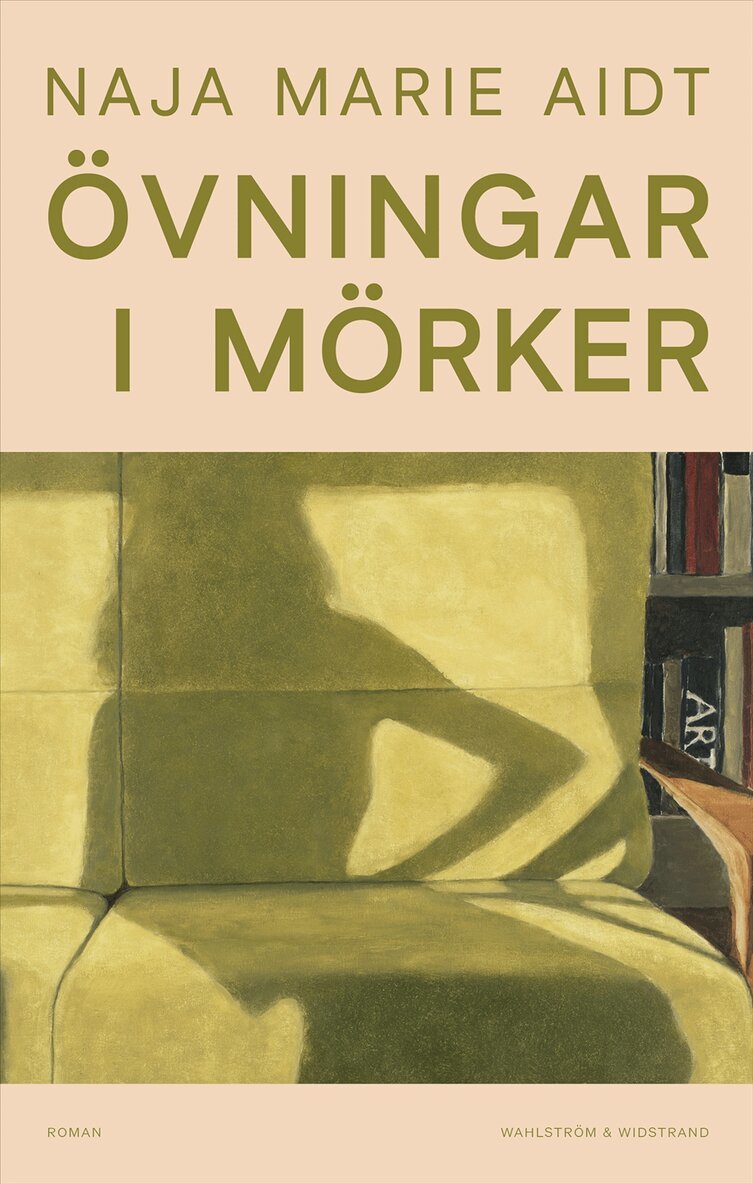 Naja Marie Aidt - Övningar i mörker, E-bok